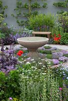The St John's Hospice - A Modern Apothecary Garden - View of stone water bowl surrounded by planting of thyme, with Apium graveolens and Atriplex hortensis var. Rubra, and in the background, espalier-trained apple trees. RHS Chelsea Flower Show 2016. Designer: Jekka McVicar, Sponsor: St John's Hospice