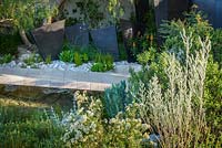 The Telegraph Garden, with Jaborosa integrifolia, Ozothamnus 'Silver Jubilee', Ozothamnus diosmifolius. RHS Chelsea Flower Show 2016. Designer: Andy Sturgeon - Sponsor: The Telegraph Awarded Gold - Best in Show