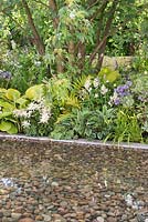 Shaded planting of Hosta 'Francee', Astilbe, Hosta 'Sum and Substance' and Campanula lactiflora 'Pritchard's Variety', next to a pebble rill - Dog's Trust: A Dog's Life, RHS Hampton Court Palace Flower Show 2016