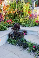 Aeonium 'Zwartkop' set in pebbles under paved steps with Ophiopogon planiscapus 'Nigrescens', colourful border with Canna 'Durban', Geum 'Fire Opal', Alchemilla mollis and Salvia - New Horizons, RHS Hampton Court Palace Flower Show 2016