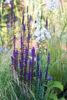 Salvia x sylvestris and Stipa tenuissima - Streetscape's Summer in Sussex, Design: Gary Price, RHS Hampton Court Palace Flower Show 2016