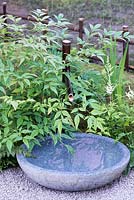 Bamboo water feature with stone bowl - Japanese Summer Garden, Design: Saori Imoto, RHS Hampton Court Palace Flower Show 2016