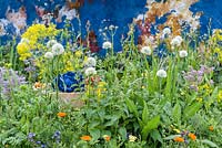 The AkzoNobel Honeysuckle Blue Garden with plants used as dye, including Isatis tinctoria, Utrica doica, Calendula officinalis, Rumex acteosa, Borago officinalis and white Allium. The RHS Chelsea Flower Show 2016 - Designer: Claudy Jongstra in collaboration with Stefan Jaspers - Sponsor: AkzoNobel - SILVER-GILT