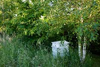 White painted bee-hive in wildflower meadow. Sweet chestnut - Castanea sativa to left, silver birch - Betula pendula to right