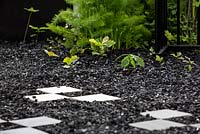 The Modern Slavery Garden, small oak seedlings in charcoal. RHS Chelsea Flower Show 2016, Designer: Juliet Sargeant - Sponsor: The Modern Slavery Garden Campaign - Contractor: The Outdoor Room