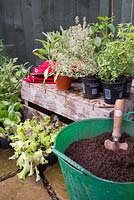 Materials required are vertical hanging planters, compost, Thyme 'Lemon Variegated', Oregano, Basil Mint, Thyme 'Silver Posie' and Sage 'Garden Grey'