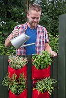 Man watering vertical planter of herbs from a balcony