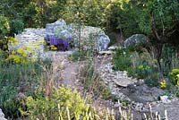 L'Occitan Garden, view of desert-like earth path with stones leading to a patio with black metal chairs, table with purple table cloth surrounded by curved sand stone fence, tree Juglans regia, Euphorbia characias subsp. wulfenii 'John Tomlison', Galium verum, Deschampsia caespitosa. RHS Chelsea Flower Show 2016, Designer: James Basson MSGD, Sponsor: L'Occitane en Provence