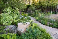 he M and G Garden, view of a stone and path surrounded by Molopospermum peloponnesiacum,  Quercus pubescens and woodland plants. RHS Chelsea Flower Show, 2016.