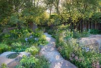 The M and G Garden, view of stone with natural water bowl as bird bath and stone path surrounded by Molopospermum peloponnesiacum, Valeriana officinalis,  Valeriana pyrenaica, Euphorbia wallichii, Libertia grandiflora, Aquilegia chrysantha, Zizia aurea, Saxifraga x urbium, Quercus pubescens and woodland plants. RHS Chelsea Flower Show, 2016 Designer: Cleve West MSGD, Sponsor: M and G 