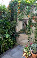View of wall in inner city courtyard garden showing exotic timber statue in an alcove, a rusty table covered in various potted bromeliads, cactus and succulents below it, and a greenwall of assorted bromeliads and ferns.