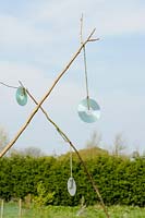 Bird scaring, CD's used to deter birds attacking crops, UK, March