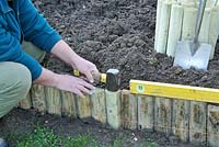 Gardener installing log roll to act as a border edge, Norfolk, UK, October