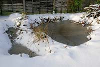 Garden wildlife pond after snowfall, Norfolk, Uk, November