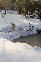 Urban garden after snowfall with wildlife pond, small, trees and woodpile, Norfolk, UK, November