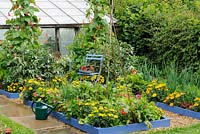 Small potager garden in mid summer showing mixed flower and vegetable planting, July,