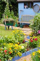 Small potager garden in mid summer showing mixed flower and vegetable planting, UK, July,