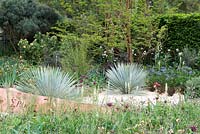 Yucca rostrata - The Winton Beauty of Mathematics Garden, The RHS Chelsea Flower Show 2016, Designer: Nick Bailey, Sponsor: Winton