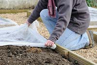 Lady gardener placing horticultural fleece on small raised beds to raise soil temperature prior to springtime sowing, UK, March