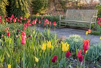 A bench is surrounded by colourful tulips in the Lanhydrock Garden at Wollerton Old Hall Garden, Shropshire. Photographed in April