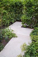 Sandstone path leading to private parking concealed by Laurel hedge. Additional planting features Alchemilla mollis and Eryngium