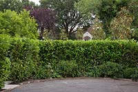 View of the private parking area concealed by a Laurel hedge and herbaceous border