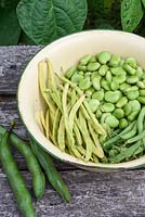 Runner, broad and green beans in enamel bowl