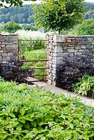 Contemporary garden with decorative iron gate in a dry stone wall, with Actea simplex 'Brunette' and Persicaria filiforme