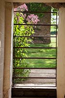 Views through the old stable block, with sunlight through a rusty iron gate, with Eupatorium maculatum Atropurpureum Group 'Orchard Dene' flowering in August