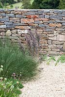 Dry stone wall garden with Leptospermum 'Silver Sheen', Polygonum scoparium planted in gravel in Summer