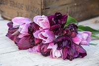 Bouquet of Tulipa 'Ronaldo', 'Black Hero' and 'Violet Beauty' on a table