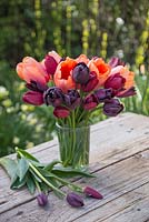 Tulipa 'Jan Reus', Tulip 'Apricot Impression', Tulip 'Havran', Tulip 'National Velvet' and Tulipa 'Cafe Noir' in glass vase with view to garden