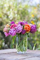Tulipa 'Chato', 'Purple Peony', 'Double Price' and 'William of Orange' in a vase with view to garden