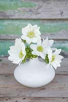 Anemone coronaria 'The Bride' in ornate white vase