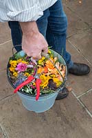 Gardener carrying bucket of deadheaded flowers and waste cuttings - September 