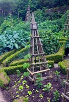 Vegetable garden with wooden obelisks and box hedging