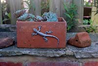 Succulent in pots on wall with plastic lizard decoration