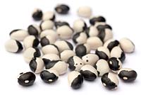 Phaseolus vulgaris 'Yin Yang' beans on white background 