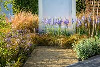 Camassia cusickki against a see-through panel water feature - The Low Line, RHS Malvern Spring Festival 2016. Design: Jamie Langlands