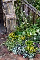 White Daffodils, Lamium, Helleborus, Euonymus and Viburnum. The Woodcutter's Garden, RHS Malvern Spring Festival 2016. Design: Mark Walker