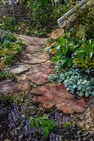 Stepping Stones made of tree trunks  edged with Helleborus, Lamium and Ajuga. The Woodcutter's Garden, RHS Malvern Spring Festival 2016. Design: Mark Walker
