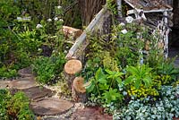 The Woodcutter's Garden with Helleborus, Lamium, Geraniums and Viburnum. RHS Malvern Spring Festival 2016. Design: Mark Walker