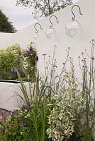 A patio with white walls, raised beds with blue, purple and lime green perennials and hanging glass bauble lanterns. A breath of fresh air, RHS Tatton Flower Show 2011, Cheshire
