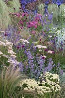A living wall with blue, purple and white perennial planting in front. Embrace, RHS Tatton Flower Show 2011, Cheshire
