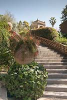 Large terracotta urn filled with russelia equisetifolia at the base of steps in mediterranean garden, Sicily, Italy