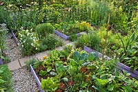 Paved path through kitchen garden with raised beds planted with vegetables and herbs. Onion, lettuce, beetroot, nasturtium, origanum, thyme, lavender. Garden fork.