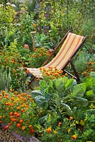 Deckchair in kitchen garden. Raised beds full of vegetables, herbs and flowers.