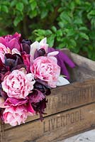 Bouquet of Tulipa 'Queen of Night', 'Black Parrot', 'Holland Chic', 'Merlot' and 'Aveyron' on a crate