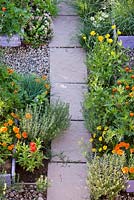 Paved path through kitchen garden with raised beds planted with vegetables and herbs. Origanum, marigold lavendula, chives, zinnias, savory, agastache.