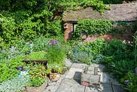 Brigit Strawbridge's tiny bee friendly courtyard garden in St James', Shaftesbury, planted with wildlife in mind, particularly bumble and solitary bees.